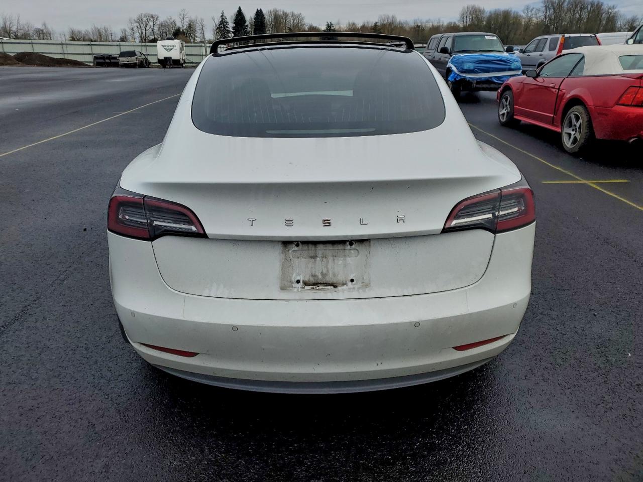 Tesla Model 3 Image 11