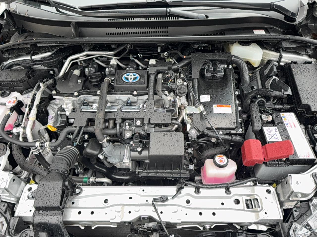 Toyota Corolla Le Image 4