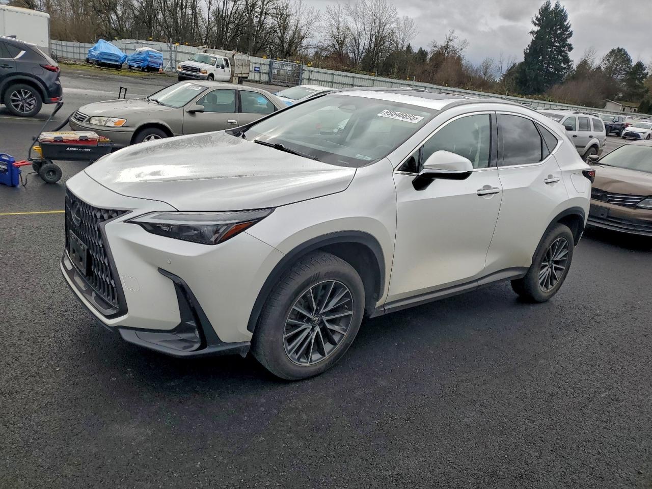 Lexus NX 350h Image 1