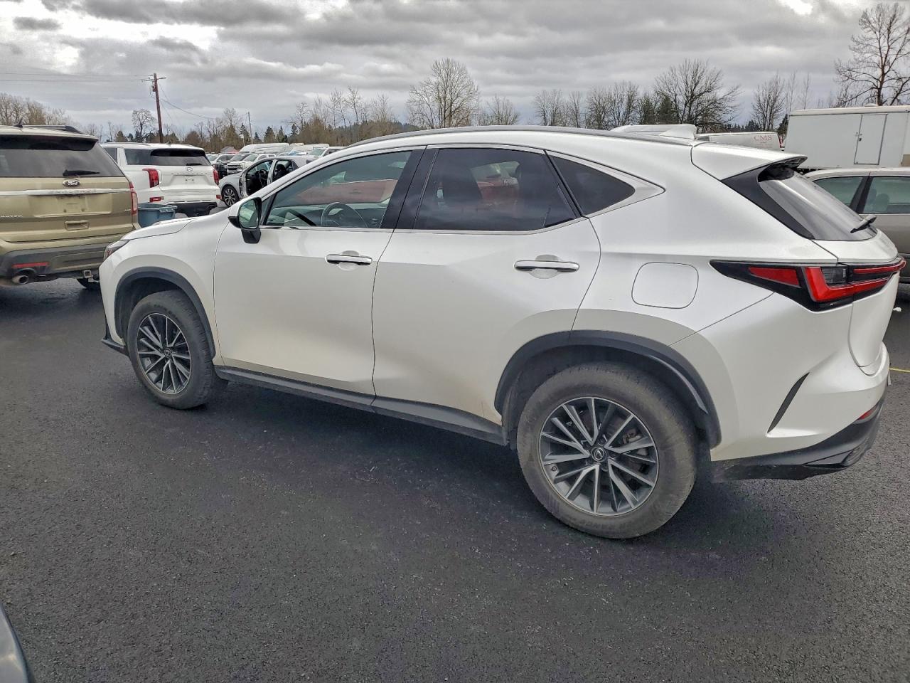 Lexus NX 350h Image 7
