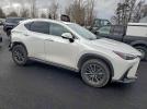 Lexus NX 350h Image 2