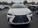 Lexus NX 350h Image 6