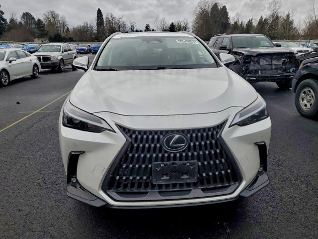 Lexus NX 350h Image 6