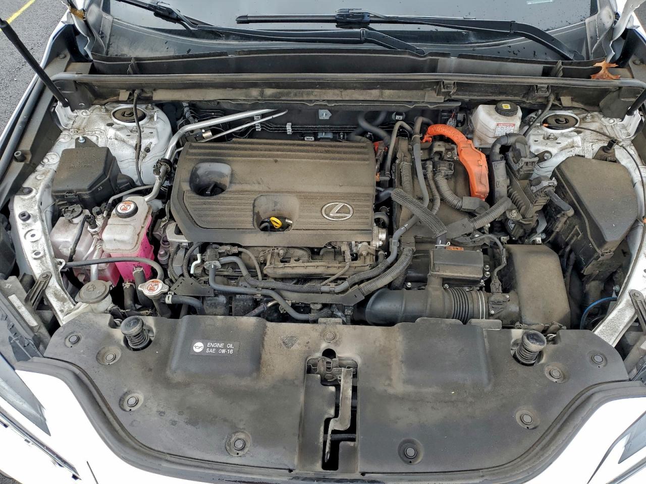 Lexus NX 350h Image 10