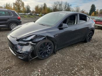  Salvage Tesla Model Y