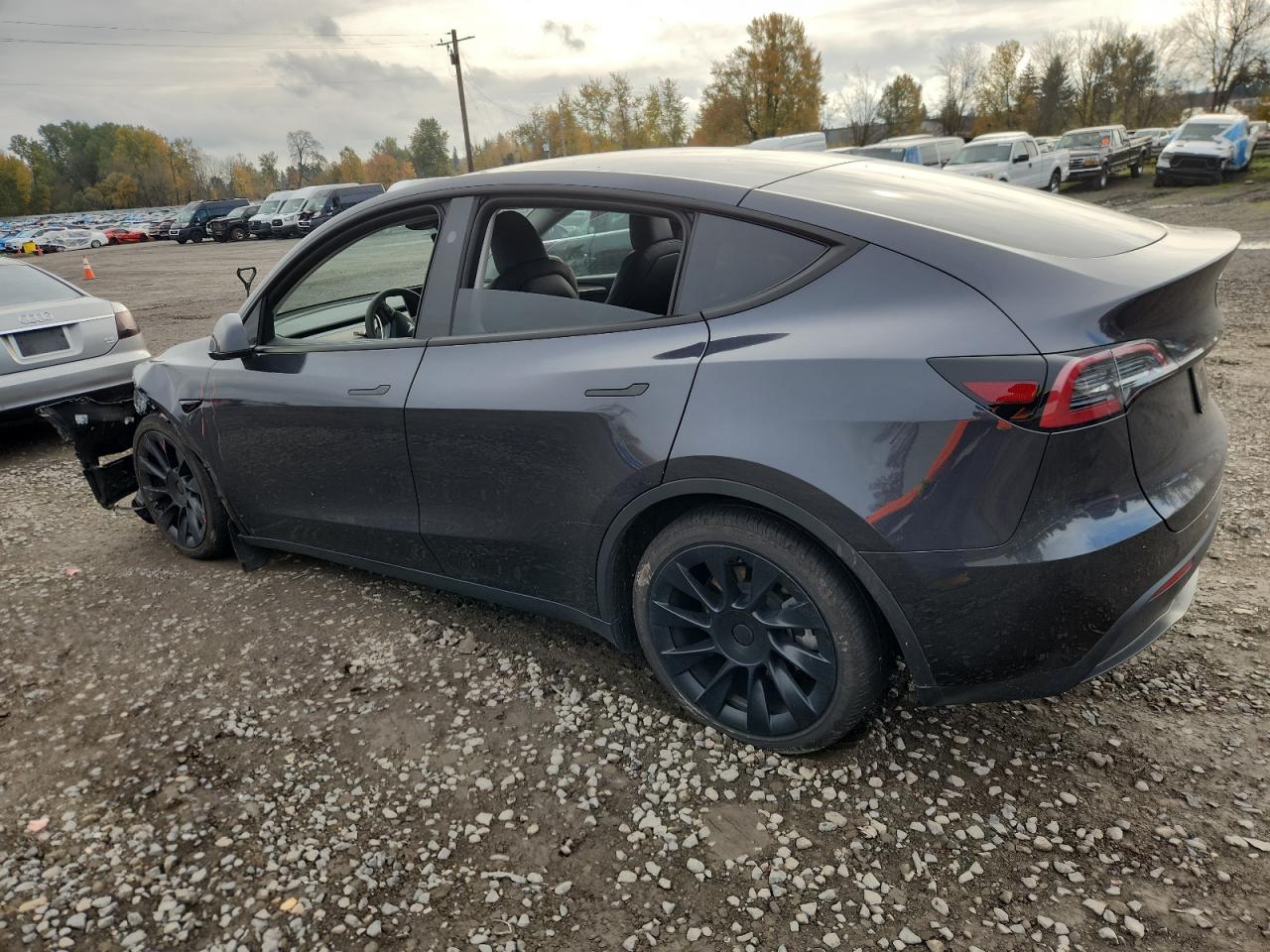 Tesla Model Y Image 5