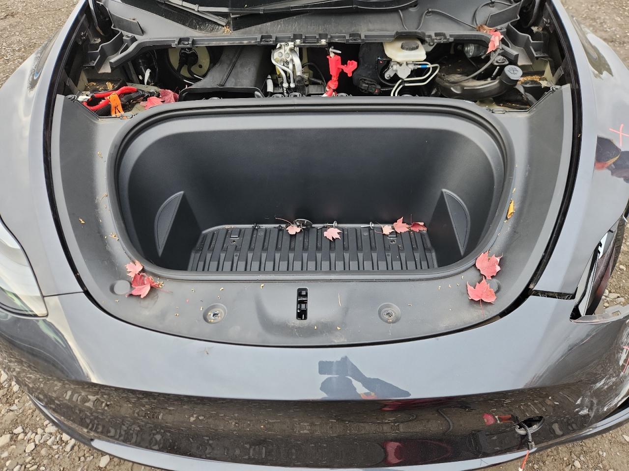 Tesla Model Y Image 7