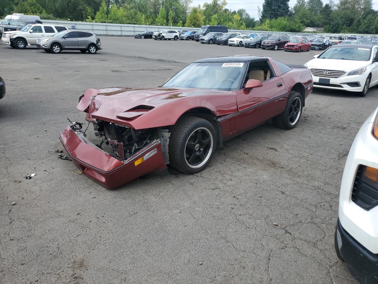 Chevrolet Corvette Image 1