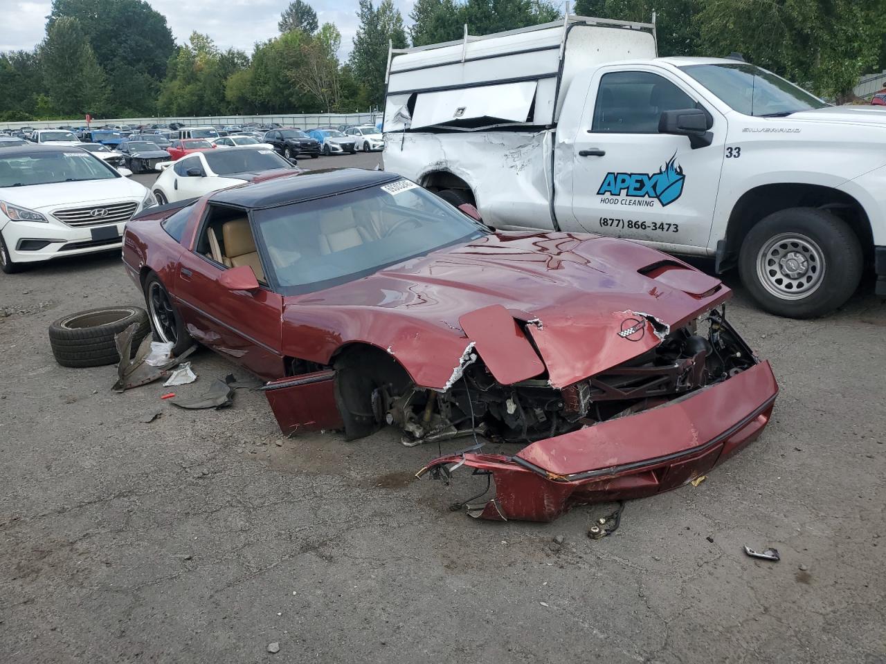 Chevrolet Corvette Image 4