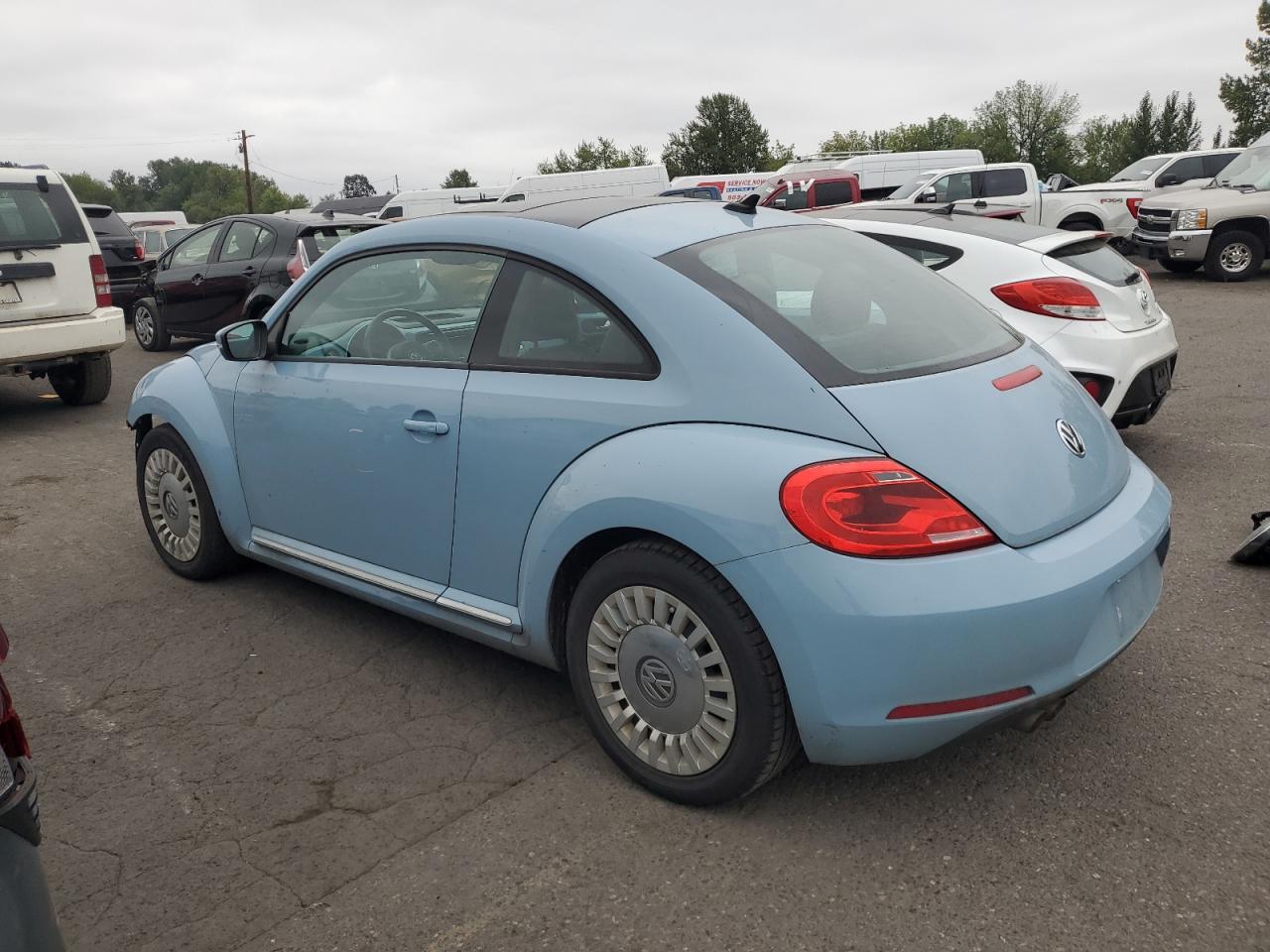 Volkswagen Beetle Image 2