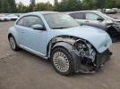 Volkswagen Beetle Image 6