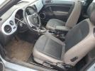 Volkswagen Beetle Image 11