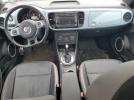 Volkswagen Beetle Image 10