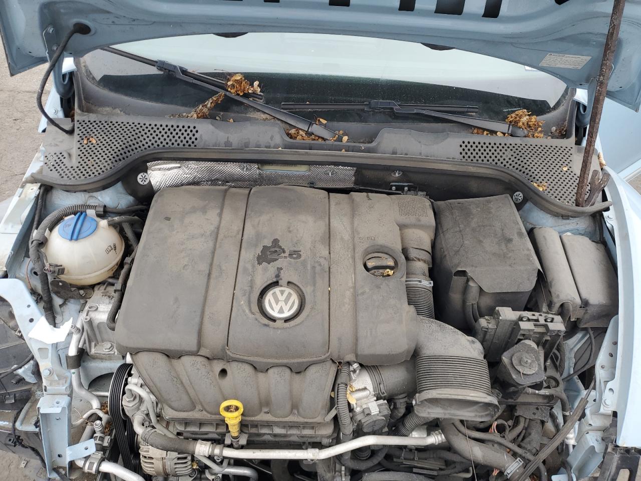 Volkswagen Beetle Image 7