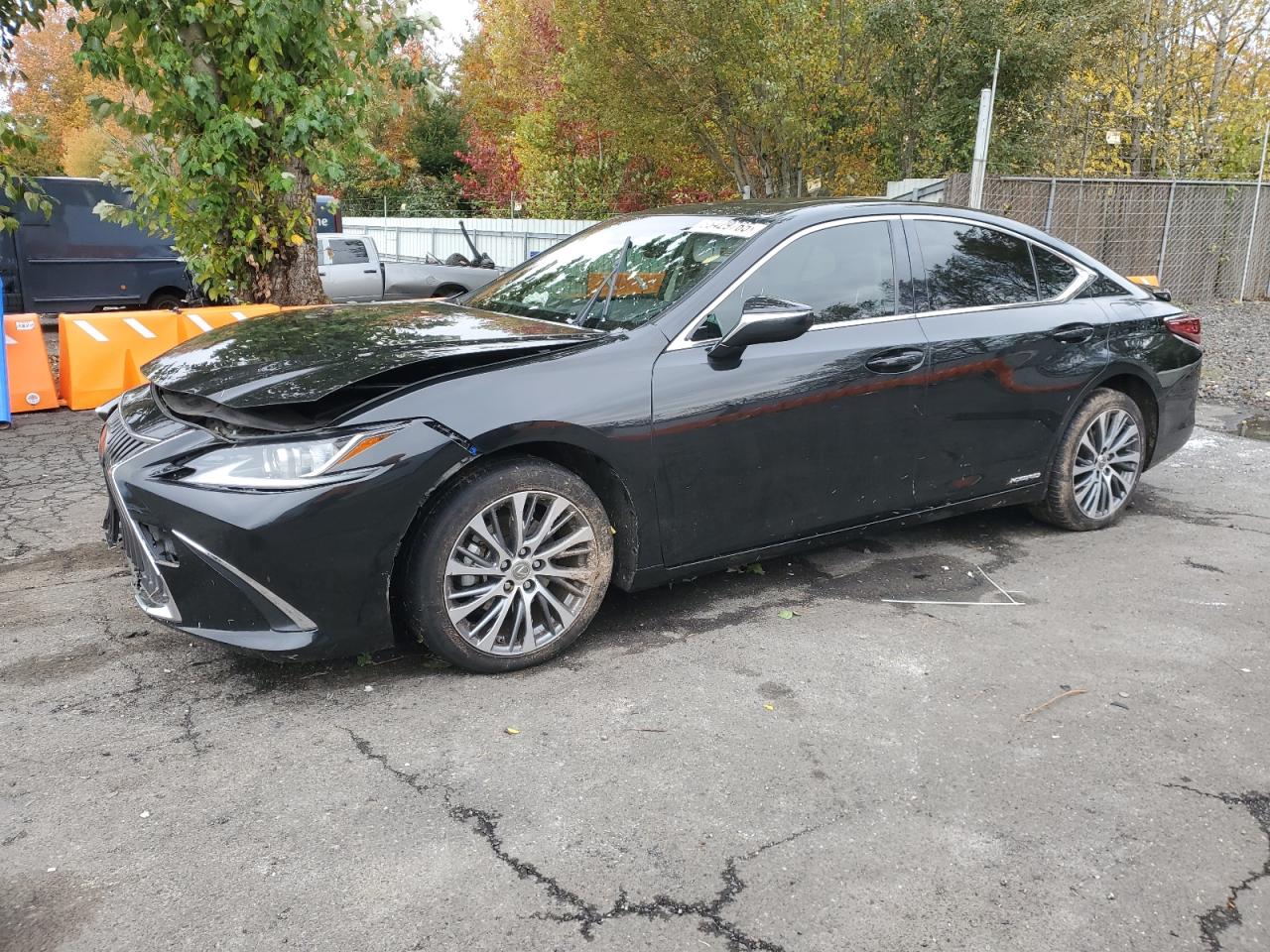 Lexus Es 300h Image 1