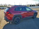 Toyota RAV4 Trd Off Road Image 3