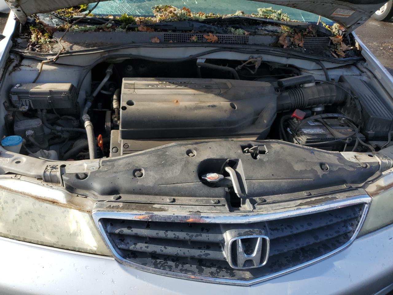 Honda Odyssey Ex Image 3