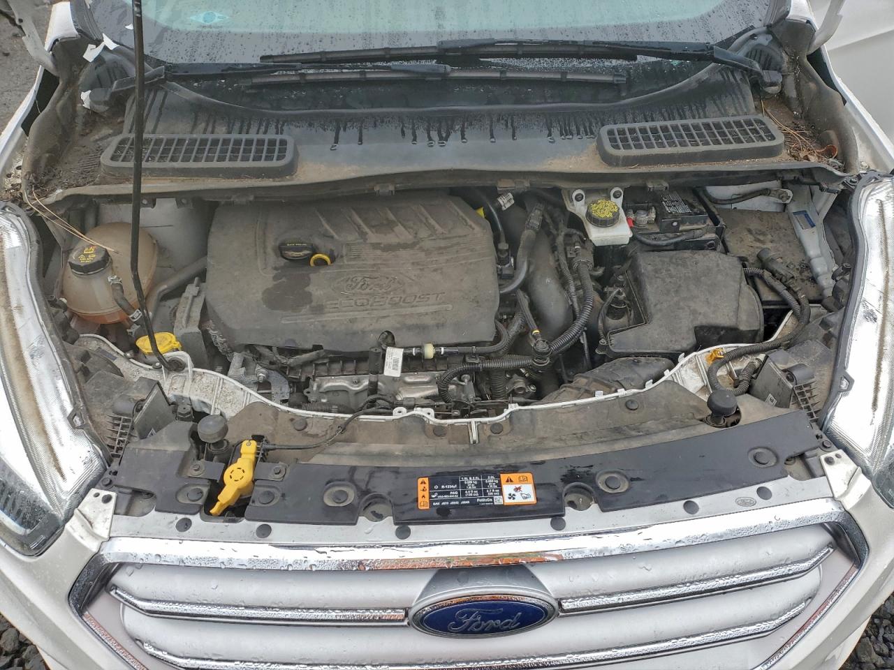 Ford Escape Se Image 11