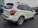 Subaru Forester 2.5i Limited Image 3