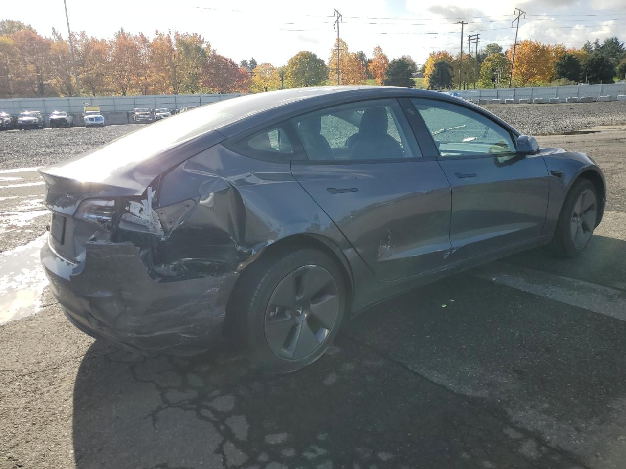 Tesla Model 3 Image 3